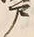 Character 戸