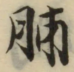 位置 確認된 胏
