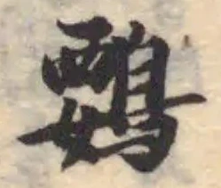 Đã định vị 䳩