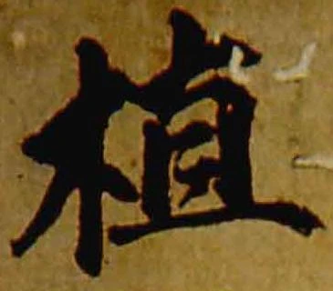 植 위치 확인됨