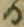 字る