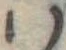 𛂞の位置