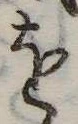 𛄜の位置