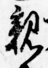 位置定マレル親