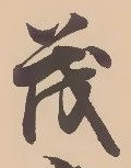 已定位茂