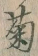 글자 菊