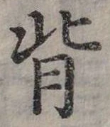 位置定マレル背