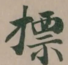 摽の位置