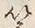 글자 筈