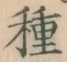글자 種