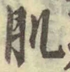 文字肌