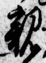 位置定マレル親