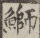 鰤 위치 확인됨