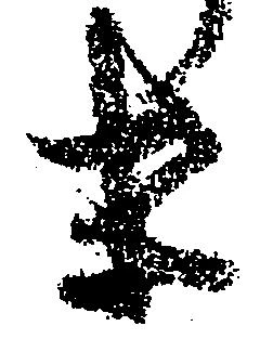 已定位末