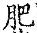 文字肥