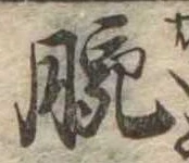 Đã định vị 腕