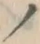字ノ
