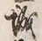 글자 城