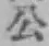 字公