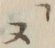 𡨸ス