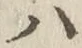 글자 ハ