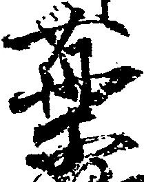 㐌定位薬