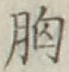 Chữ 胸
