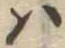 𛂞 위치 확인됨