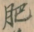 文字肥