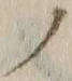 字ノ