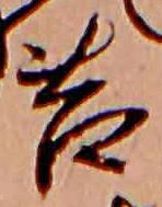 Đã định vị 苔
