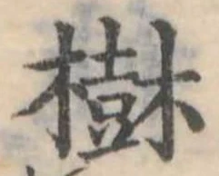 樹 위치 확인됨