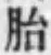 字胎