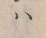已定位𛂞