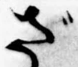 已定位ざ
