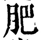 文字肥