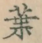 Character 葉