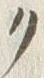 文字ク