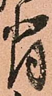 背 위치 확인됨