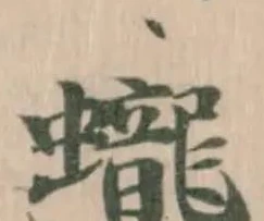 蠬 위치 확인됨