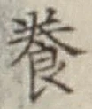 Chữ 養