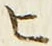 文字 ヒ