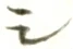 글자 シ