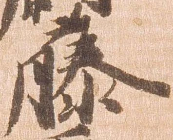 藤の位置