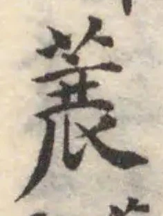 蓑の位置