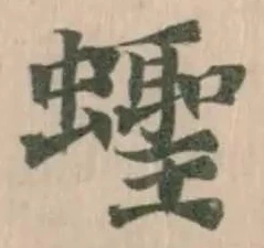 Đã định vị 蟶
