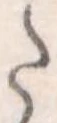 Đã định vị 𛁠
