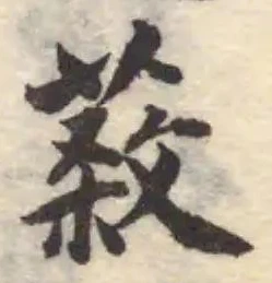 蔱 위치 확인됨