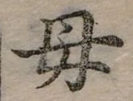 位置定マレル母