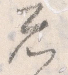 忩 위치 확인됨
